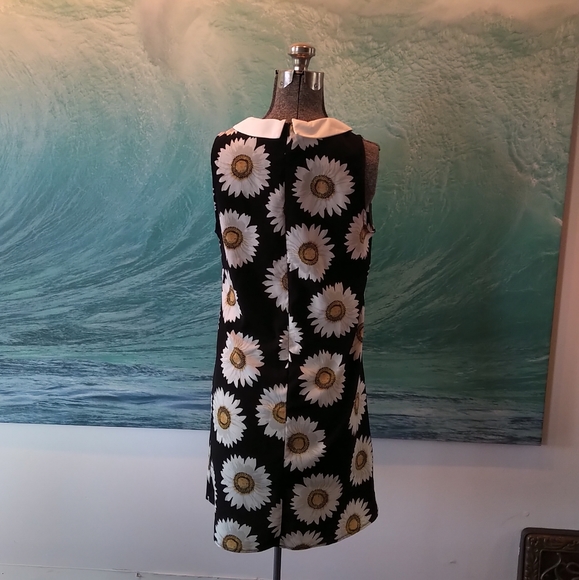 Peter Pan collared daisy shift dress - Picture 2 of 5
